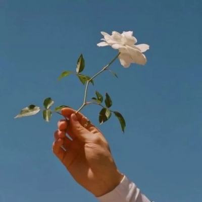 幻想小精放置版游戏下载